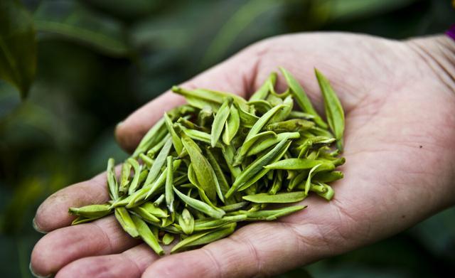 中国最名贵的茶叶是大红袍吗？