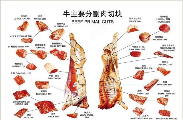 牛肉选择什么部位，才可以炖烂、不柴？为何？