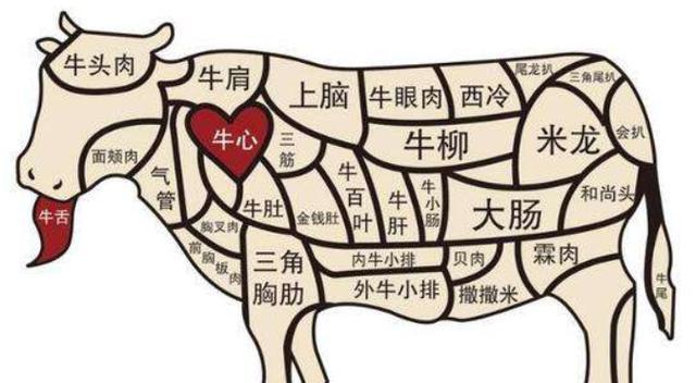 牛肉选择什么部位，才可以炖烂、不柴？为何？